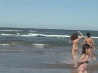 Naughty babes flash at the beach